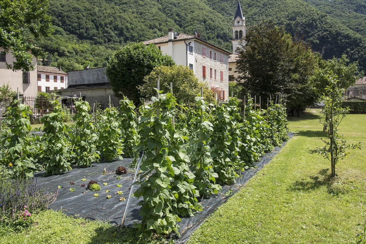 Locanda Solagna Quero Exterior photo